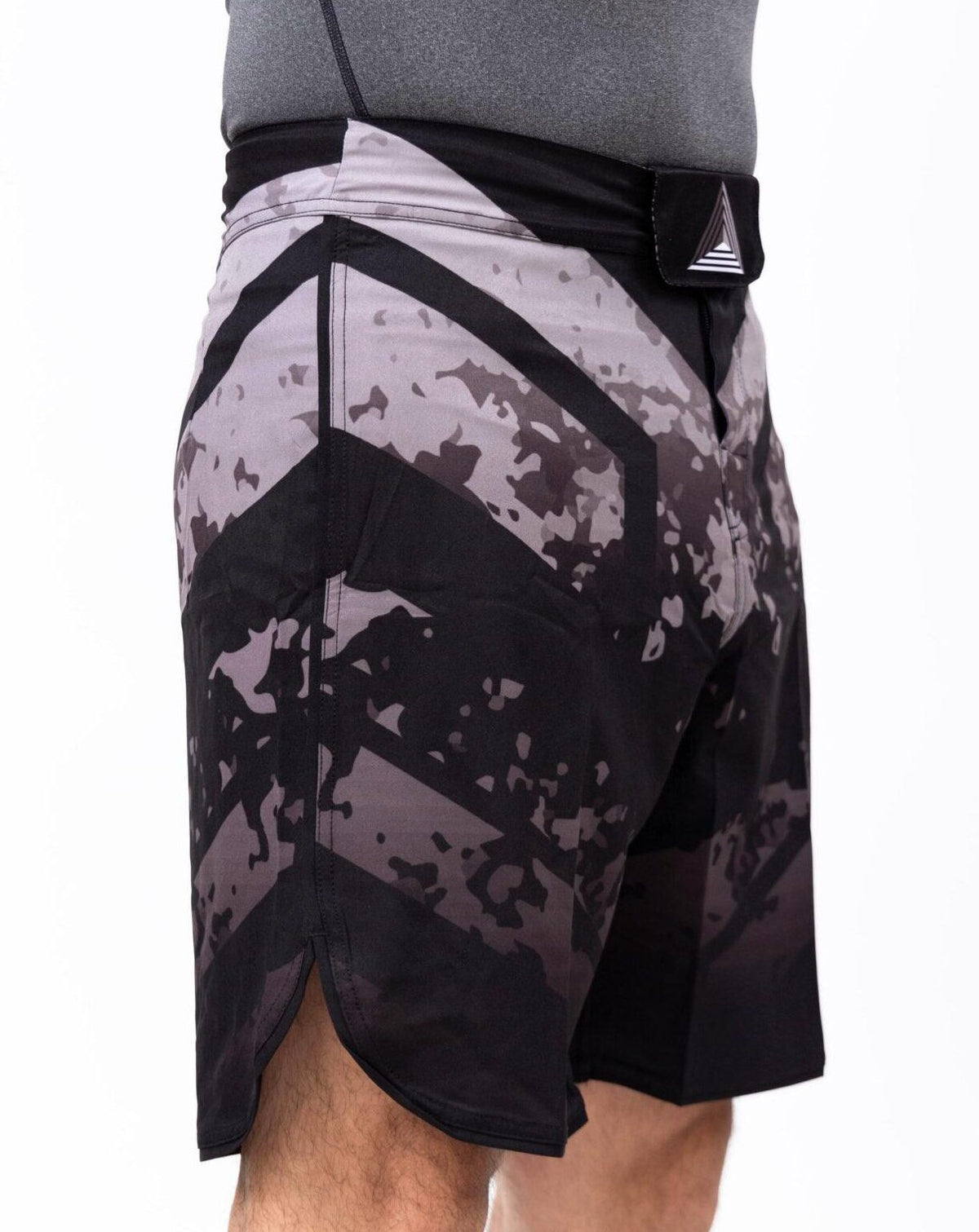 Fulcrum Training Shorts