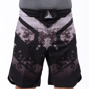 Fulcrum Training Shorts